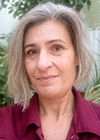 Lippert Martina MMag.
